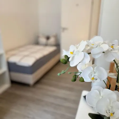 Apartment's Am Luisenpark - Stadtnah - Wlan - Smart Tv - Stellplatz * Erfurt