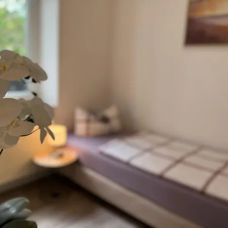 Apartment's Am Luisenpark - Stadtnah - Wlan - Smart Tv - Stellplatz