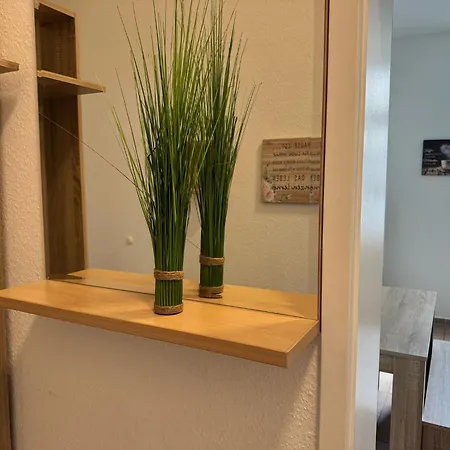 Apartment's Am Luisenpark - Stadtnah - Wlan - Smart Tv - Stellplatz Apartment