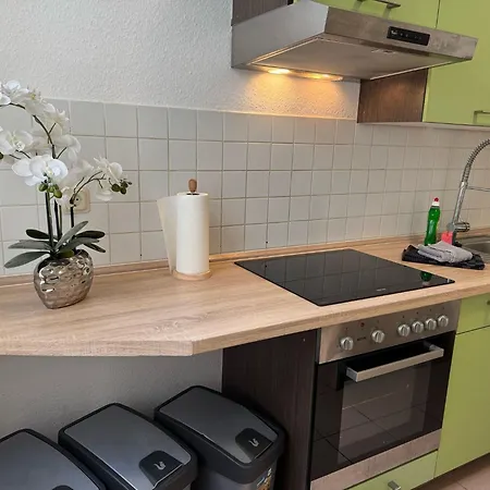 Apartment's Am Luisenpark - Stadtnah - Wlan - Smart Tv - Stellplatz Lägenhet Erfurt