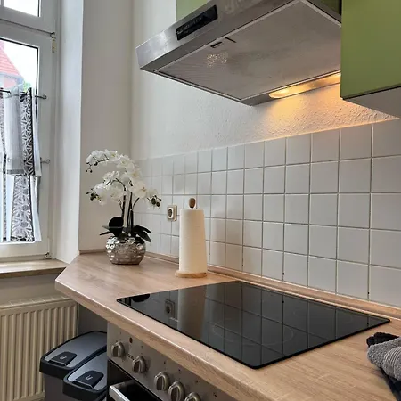 Lägenhet Apartment's Am Luisenpark - Stadtnah - Wlan - Smart Tv - Stellplatz Erfurt