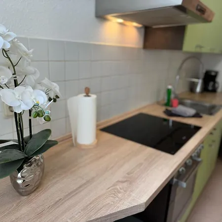 Lägenhet Apartment's Am Luisenpark - Stadtnah - Wlan - Smart Tv - Stellplatz