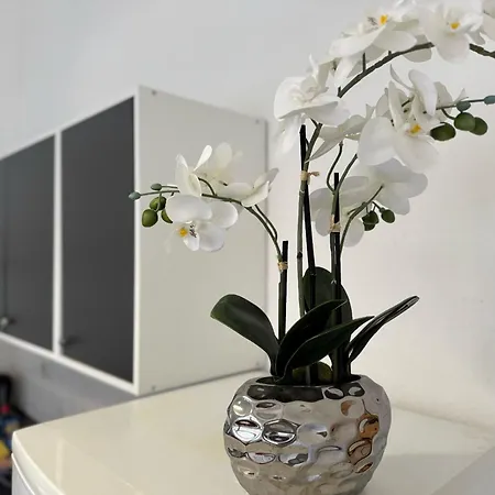 Lägenhet Apartment's Am Luisenpark - Stadtnah - Wlan - Smart Tv - Stellplatz Erfurt